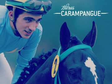 Haras Carampangue