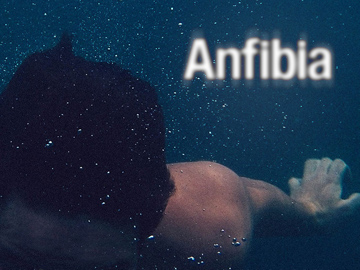 Revista Anfibia